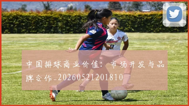 中国排球商业价值:市场开发与品牌合作_20260521201810